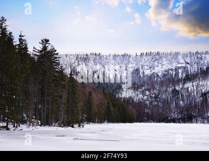 Paysage d'hiver dans la forêt de Bohème. Lac noir (Cerne jezero), parc national de Sumava, République tchèque. Banque D'Images