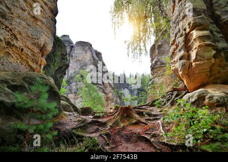 Roche de grès à Prachovske skaly, Bohemian Paradise (Cesky Raj), Tchéquie. Banque D'Images