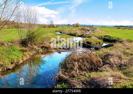 La réserve naturelle idyllique de Bingenheimer Ried, qui abrite de nombreux oiseaux sauvages, est située à l'ouest de Bingenheim (Wetterau) dans la plaine inondable de Horloff. Banque D'Images