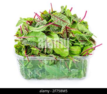 Mélange de feuilles de salade fraîches isolé sur fond blanc dans une boîte en plastique. Salas mixtes. Concept d'alimentation saine Banque D'Images