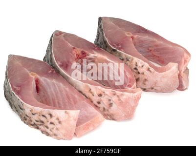 Steaks de carpe sur fond blanc, gros plan Banque D'Images