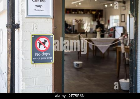 Pas de chiens, sauf chiens-guides, panneau visuel sur le entrée du café Banque D'Images