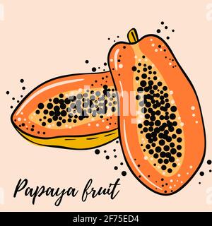 Fruit papaye exotique brillant dessiné à la main. Fruits, entiers et en moitiés. Fruits mûrs juteux sur fond blanc. Vecteur. Illustration de Vecteur
