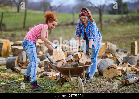 deux femmes travaillent ensemble pour mettre du bois de chauffage pour l'hiver Banque D'Images