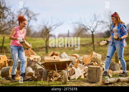 deux femmes travaillent ensemble pour mettre du bois de chauffage pour l'hiver Banque D'Images