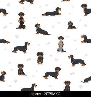 Serre-câble à cheveux Dachshund. Différentes poses, ensemble de couleurs de pelage. Illustration vectorielle Illustration de Vecteur