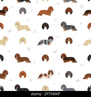 Motif long sans coutures Dachshund. Différentes poses, ensemble de couleurs de pelage. Illustration vectorielle Illustration de Vecteur