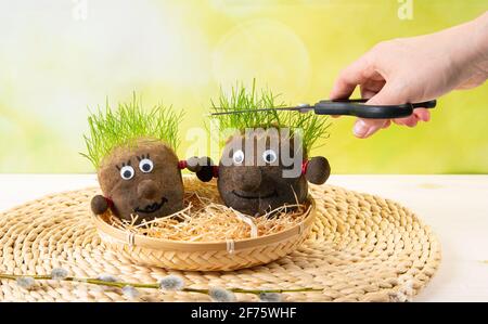Deux têtes d'herbe faites maison et tondez les poils de l'herbe en pleine croissance à la main. Bas remplis de terre et de graines d'herbe. Jardinage amusant de loisirs de printemps. Banque D'Images