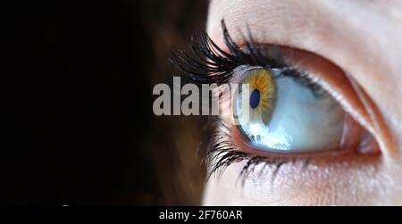 Image macro de l'œil humain sur fond sombre avec espace de copie. Banque D'Images