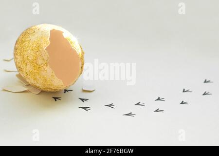 Empreintes d'un coquillage. Premières étapes d'un poussin sur un fond blanc isolé. Concept de sortie de la zone de confort, une nouvelle vie, le progrès Banque D'Images
