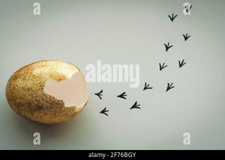 Empreintes d'un coquillage. Premières étapes d'un poussin sur un fond blanc isolé. Concept de sortie de la zone de confort, une nouvelle vie, le progrès Banque D'Images