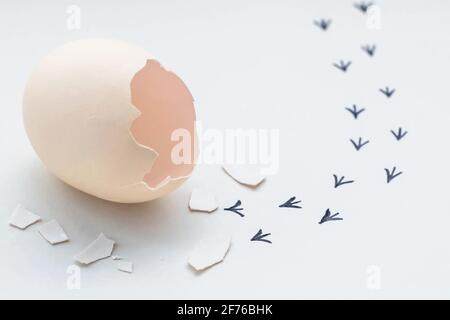 Empreintes d'un coquillage. Premières étapes d'un poussin sur un fond blanc isolé. Concept de sortie de la zone de confort, une nouvelle vie, le progrès Banque D'Images