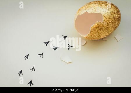 Empreintes d'un coquillage. Premières étapes d'un poussin sur un fond blanc isolé. Concept de sortie de la zone de confort, une nouvelle vie, le progrès Banque D'Images