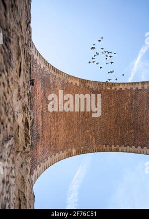 Vieux pont vertical de viaduc d'arche de chemin de fer en pierre et en brique regardant du sol haut dans le ciel bleu. Les oiseaux pigeons se départir Banque D'Images