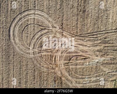 Vue en plan des chenilles depuis les roues des tracteurs après la récolte. Un modèle abstrait créé par les machines agricoles sur le terrain. Un motif circulaire laissé par un véhicule. Banque D'Images