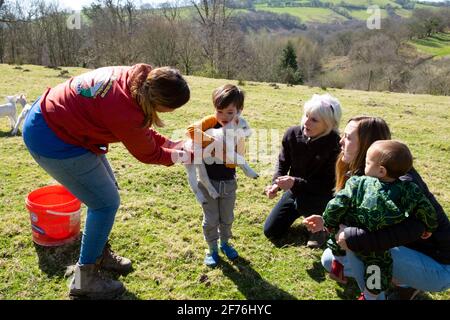 Femme agriculteur au moment de l'agnement montrant le garçon enfant comment au printemps, vous pourrez observer un agneau et une famille à la ferme Carmarthenshire pays de Galles Royaume-Uni Grande-Bretagne KATHY DEWITT Banque D'Images