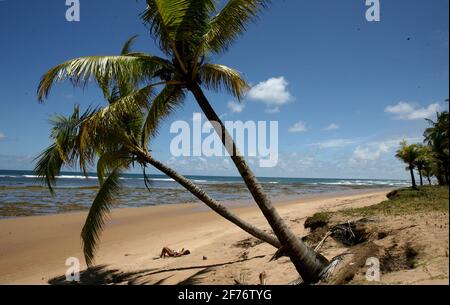 marau, bahia / brésil - 27 décembre 2011: La personne est vue à côté des cocotiers sur la plage de Taipu de fora, dans le district de Barra Grande, in Banque D'Images