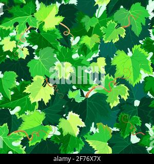 Motif sans couture avec feuilles de raisin.Illustration vectorielle. Illustration de Vecteur