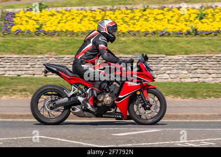 Honda CBR650F moto pilote, à Southend sur la mer, Essex, Royaume-Uni, passant des fleurs brillantes sur Cliff Gardens, le lundi de Pâques jour férié Banque D'Images