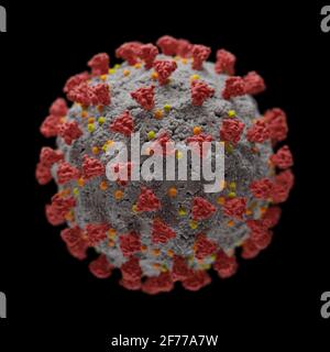 Rendu 3D d'un coronavirus du SRAS Cov2 virus Covid 19 Banque D'Images