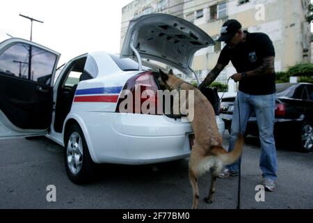 salvador, bahia / brésil - 20 novembre 2012: Le chien Sniffer est repéré lors d'une recherche de drogue dans le quartier de Stiep, au cours d'une action de t Banque D'Images