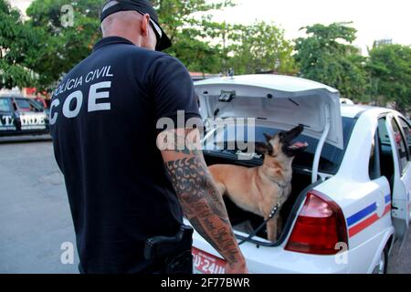 salvador, bahia / brésil - 20 novembre 2012: Le chien Sniffer est repéré lors d'une recherche de drogue dans le quartier de Stiep, au cours d'une action de t Banque D'Images