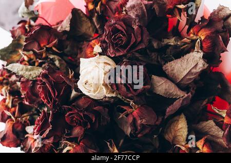 Grand et beau bouquet de roses rouges et blanches séchées sur une table en bois blanc dans le style de la Provence. Vue de dessus, gros plan. Banque D'Images