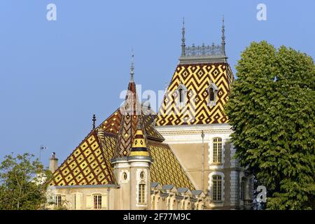 France, Côte d'Or, paysage culturel de Bourgogne climats classés au patrimoine mondial de l'UNESCO, route des Grands crus, vignoble de la côte de Beaune, Aloxe Corton, château de Corton Andre Banque D'Images