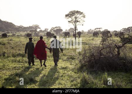La Tanzanie, l'AMM (zone de gestion de la faune) de Randilen, le Massai (peuple autochtone) et les Rangers travaillent ensemble pour protéger la faune Banque D'Images