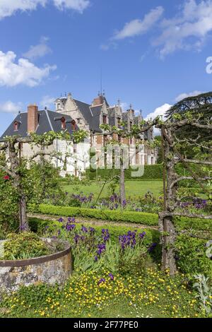 France, Indre et Loire, vallée de la Loire classée au patrimoine mondial de l'UNESCO, Vernou-sur-Brenne, château de Jallanges Banque D'Images