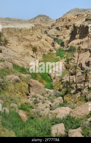 Iran, province de Kerman, classée au patrimoine mondial de l'UNESCO, désert de LUT, oasis de Kashit Banque D'Images