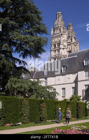 France, Indre et Loire, Tours, la Cathédrale Saint Gatien et le cèdre du Liban remarquable arbre de France planté en 1804 dans le jardin des Beaux Arts Banque D'Images