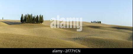 Italie, Toscane, Val d'Orcia, classé au Patrimoine Mondial par l'UNESCO, le paysage le long de la Via Francigena à proximité San Quirico d'Orcia, à l'endroit appelé Cipressi di San Quirico d'Orcia Banque D'Images