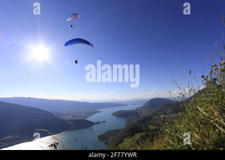 France, haute-Savoie, vol parapente au départ du Col de la Forclaz avec vue sur le lac d'Annecy Banque D'Images