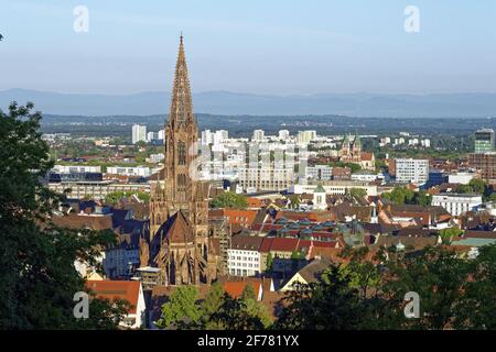 Allemagne, Bade-Wurtemberg, Fribourg im Breisgau, vue du Schlossberg avec la cathédrale (Münster) et le Sacré coeur de l'église de Jésus en arrière-plan Banque D'Images