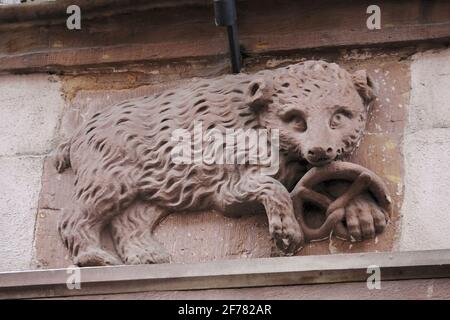 France, Bas Rhin, Strasbourg, vieille ville classée au patrimoine mondial de l'UNESCO, Grand rue, maison d'ours construite pour le boulanger Jean Jung en 1769, sculpture, ours mangeant un bretzel Banque D'Images