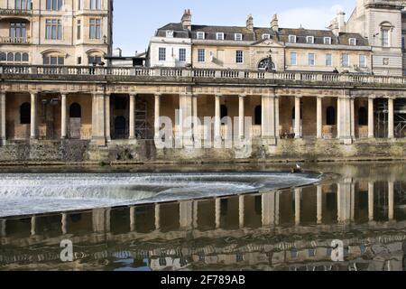 Un oiseau s'assit sur une bûche dérivante sur le Pulteney Weir en forme de fer à cheval, enjambant la rivière Avon et juste en aval du célèbre pont Pulteney. Banque D'Images