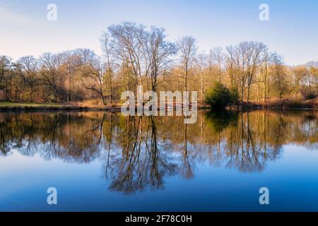 Grand étang à la réserve naturelle de Springendal, une vallée d'érosion dans la moraine d'Ootmarsum (Twente) également connu comme le jardin des pays-Bas. Banque D'Images