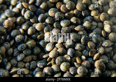 Vue macro sur les lentilles vertes. Alimentation saine, alimentation végétarienne et végétarienne. Protéines à base de plantes. Banque D'Images