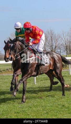 Courses hippiques au Royaume-Uni et en Irlande. Down Royal Racecourse, Lisburn, Irlande du Nord. 17 mars 2021, Réunion nationale de chasse de la Saint-Patrick. Bluegrasshorsefeed.com Maiden course de haies, tenue derrière des portes fermées. Le cheval de course Turkestan est monté par Peter Carberry, formé par Mark Michael McNiff et détenu par Martin H McGowan. A l'intérieur du cheval Pont du Gard, monté par L P Dempsey. Banque D'Images