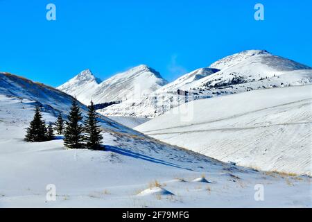 Une image de paysage d'hiver de montagnes rocheuses enneigées avec des épinettes vertes au premier plan dans les régions rurales du Canada de l'Alberta. Banque D'Images