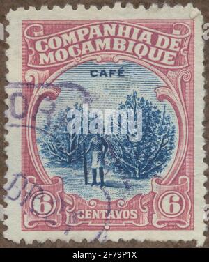Timbre de la philatéliste de Gösta Bodman Motion Collection, a commencé en 1950.le timbre du Mozambique C.I, 1918. Mouvements de la culture du café. Banque D'Images