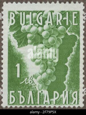 Timbre de la cession de la philatéliste de Gösta Bodman, commencé 1950.le timbre de Bulgarie, 1938. Mouvement de la dalle de raisin. «série de propagande pour les produits domestiques». Banque D'Images