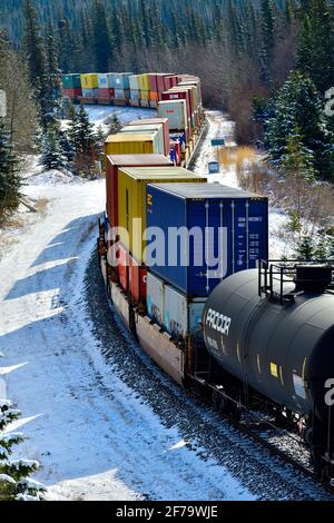 Un train de marchandises canadien National chargé d'un mélange de les wagons de marchandises se déplacent dans un coin de rue dans une zone boisée Des montagnes rocheuses de l'Alberta peuvent Banque D'Images