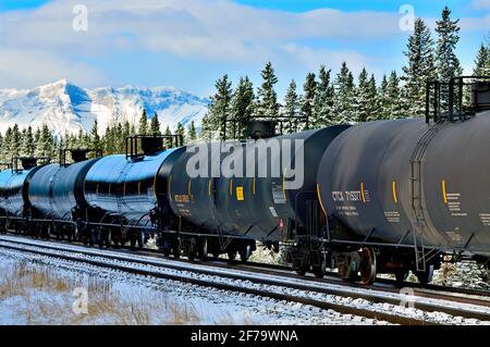 Un train de marchandises canadien National chargé de wagons-citernes attend la circulation dans une région boisée des montagnes rocheuses de l'Alberta Canada. Banque D'Images