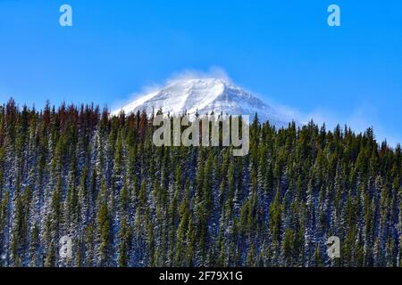 Une image de paysage d'hiver de montagnes rocheuses enneigées avec des épinettes vertes au premier plan dans les régions rurales du Canada de l'Alberta. Banque D'Images