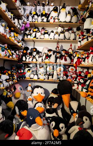 Cuxhaven, Allemagne. 17 mars 2021. De nombreux pingouins en peluche sont exposés dans le musée. Pingouins partout où l'œil peut voir : que ce soit comme un animal en peluche, une figurine de collectionneur ou sur des cravates - le Musée des pingouins de Cuxhaven regorge de tailleurs. Credit: Sina Schuldt/dpa/Alay Live News Banque D'Images