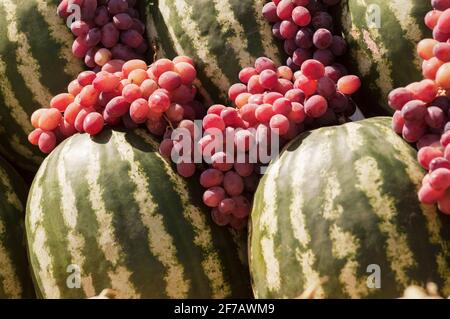 Marché de rue avec beaucoup de fruits. Dans la rue. Vente de pastèques et de raisins. Produits saisonniers. Banque D'Images