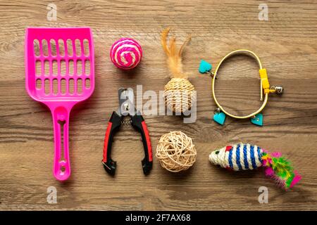 Séchez les aliments dans un bol, une spatule, des ciseaux à ongles, de l'herbe, un collier, Boules, os sur fond de bois vue du dessus plat Lay Toys, accessoires et nourriture pour votre belov Banque D'Images