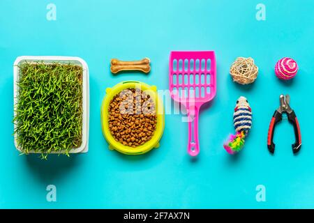Séchez les aliments dans un bol, une spatule, des ciseaux à ongles, de l'herbe, un collier, Balles, os sur fond bleu vue du dessus Flat Lay Toys, accessoires et nourriture pour votre bien-aimé Banque D'Images